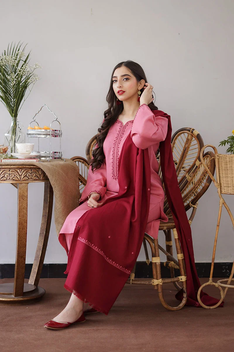 Aisling - 3PC Dhanak Embroidered Shirt With Dhanak Dupatta and Trouser - BFB0881 - Image 6